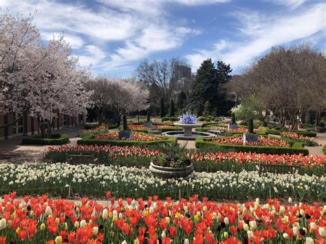 O Jardim Botânico de Atlanta: Um Oásis Verde e Floral no Coração da Cidade