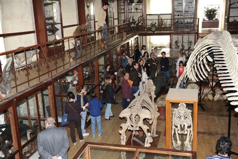 Museu de História Natural da Universidade Humboldt - Desvende os Mistérios do Universo!