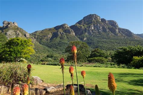 O Jardim Botânico Nacional de Umgeni: Uma Odisseia Tropical e um Refúgio para a Fauna Local!